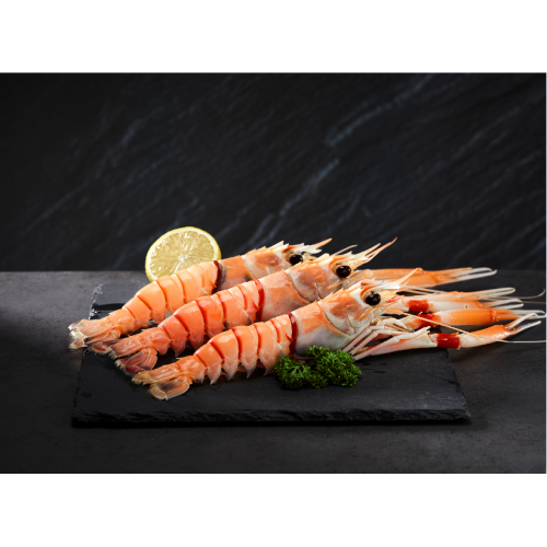 New Zealand Scampi High-class Gourmet Frozen New Zealand Scampi Manufactory